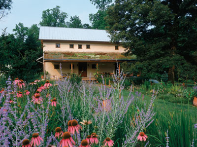 
The finished Furbish-Bathon house, includes a “green” (vegetated) roof over the back porch.
